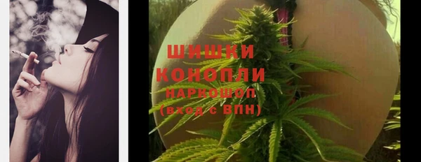 круглые Аркадак