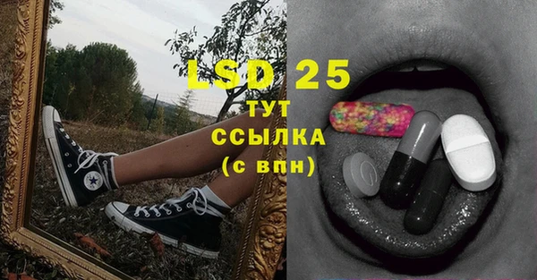 круглые Аркадак